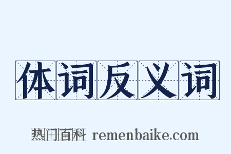 体词反义词是什么意思的图片